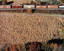 Owen Kanzler, Freight Train in the Autumn Landscape