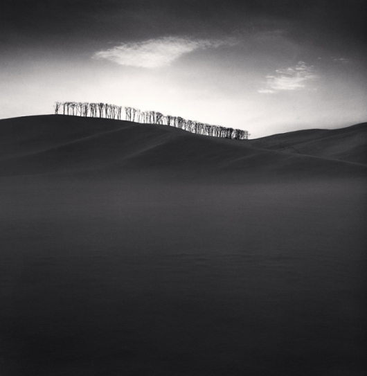 Michael Kenna, Hilltop Trees | Afterimage Gallery