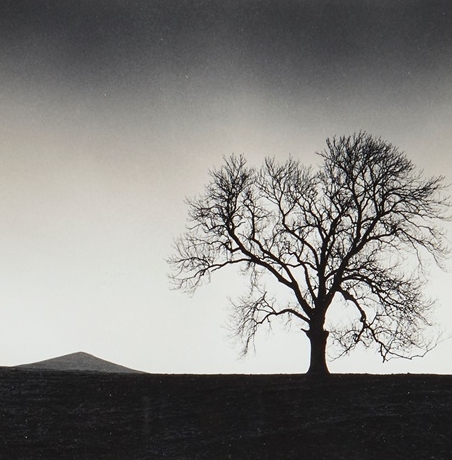 Michael Kenna, Mt. Cloud | Afterimage Gallery