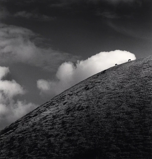Michael Kenna, Seven Horses | Afterimage Gallery