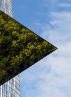 Nikola Olic