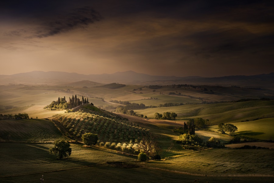 David Osborn, Tuscany Fields