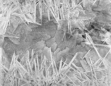 Icicle Shards