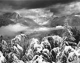 Winter Fog