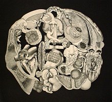 Embryology