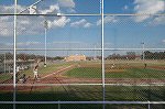 Peter Calvin, Baseball Tournament