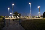 Peter Calvin, Night Game