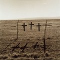 Crosses