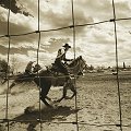Burro Roping