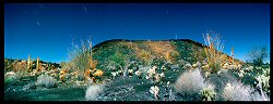 William Lesch, Full Moon Panorama, Pincate Desert