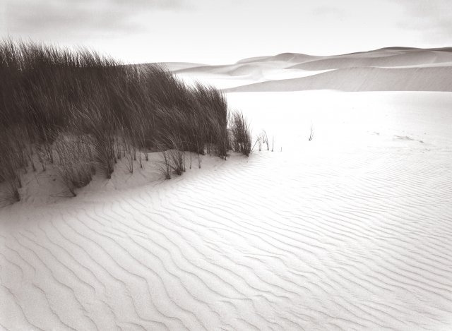 Ryuijie, Dunes and Grass | Afterimage Gallery