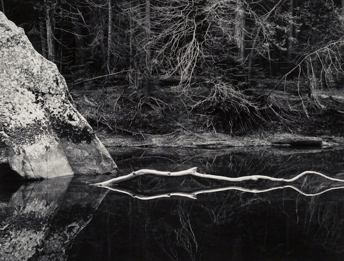 John Sexton, White Branch | Afterimage Gallery