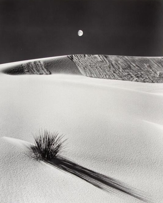 Andrew Shumaker, Yucca, Dune and Moon | Afterimage Gallery