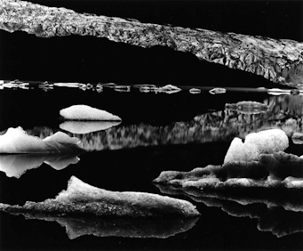 Brett Weston, Mendenhall Glacier | Afterimage Gallery