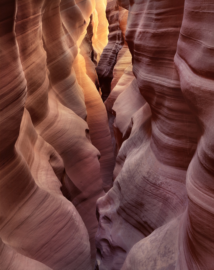 James Baker, East Fork, Uppeer Kaibito Canyon | Afterimage Gallery