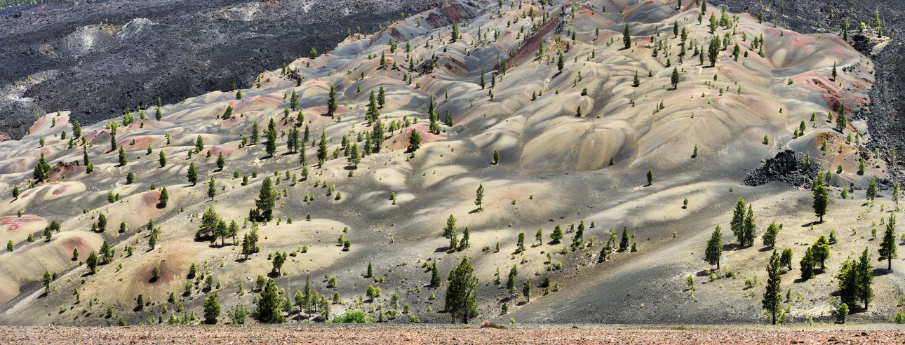 James Baker, Painted Dunes | Afterimage Gallery