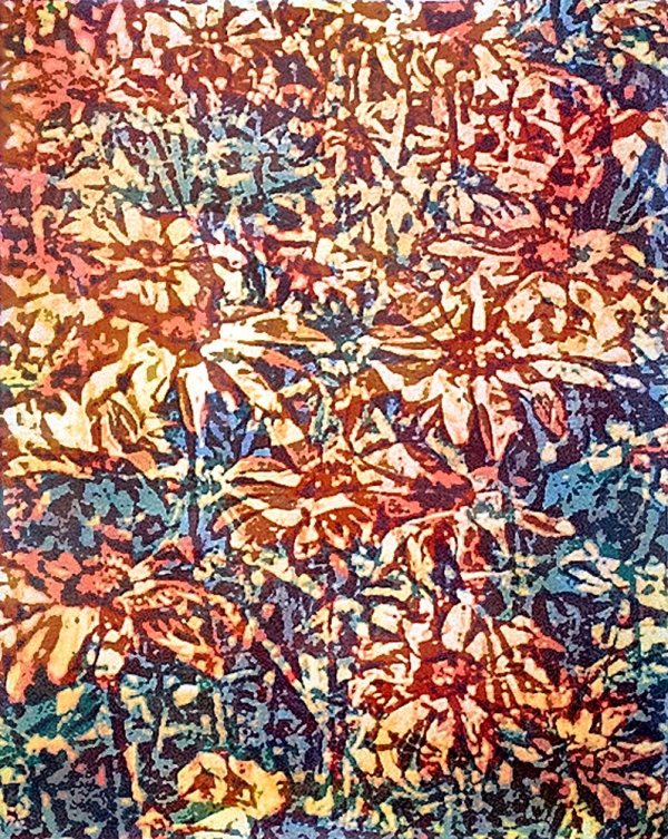 Impression Floral | Afterimage Gallery