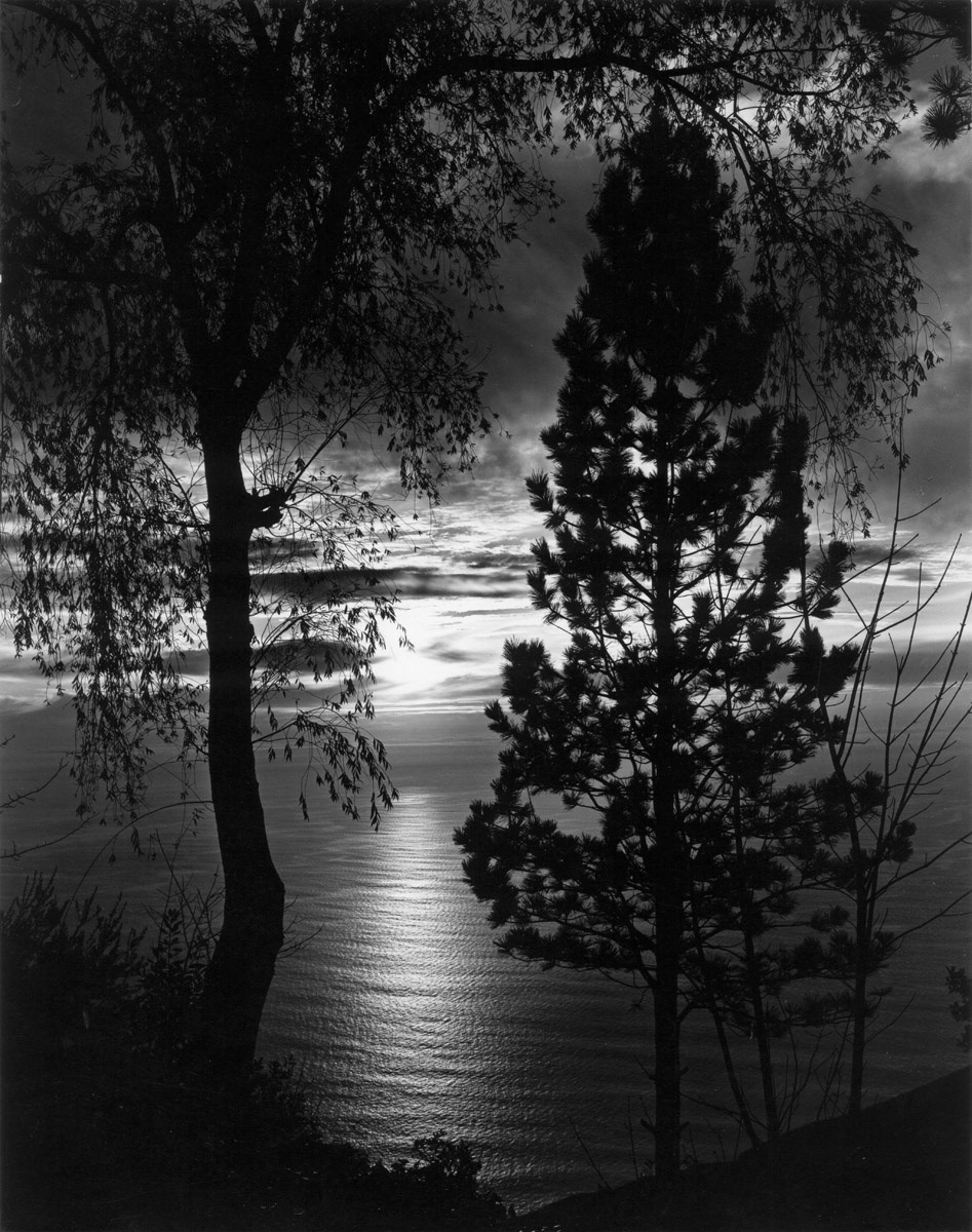 Wynn Bullock, Big Sur | Afterimage Gallery