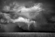 Mitch Dobrowner, Funnel-Cornfield