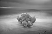 Mitch Dobrowner, Nibiru Stone