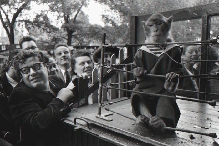 Robert Doisneau, Les Animaux Sup�rieurs | Afterimage Gallery