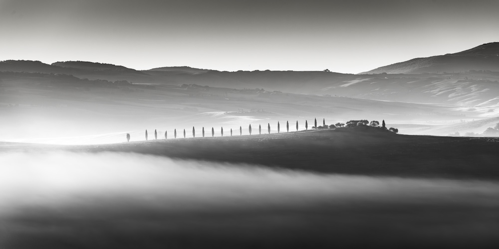 Earl Eliason, Row of Italian Cypress | Afterimage Gallery