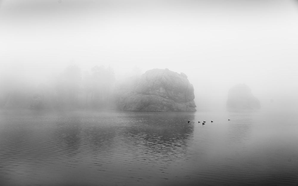 Earl Eliason, Fog on the Pond | Afterimage Gallery