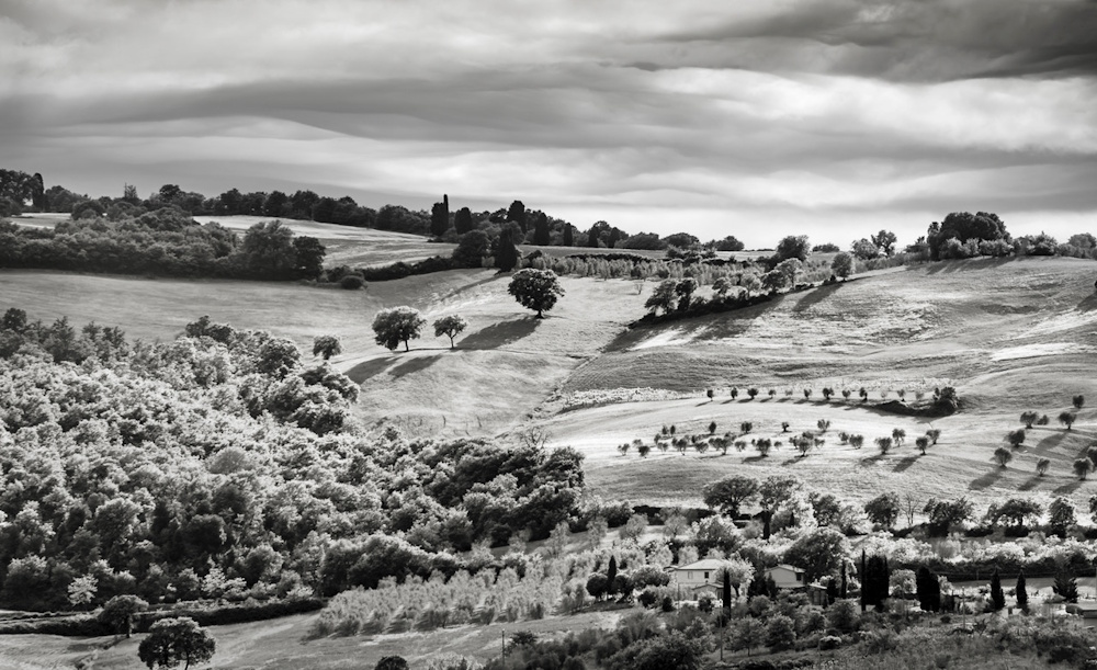 Earl Eliason, Tuscany | Afterimage Gallery