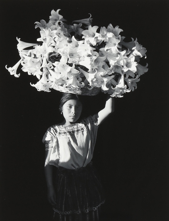 Flor Gardu�o, Basket of Light | Afterimage Gallery
