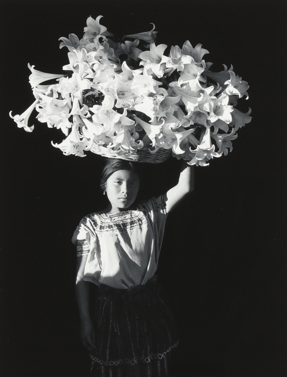 Flor Gardu�o, Basket of Light | Afterimage Gallery