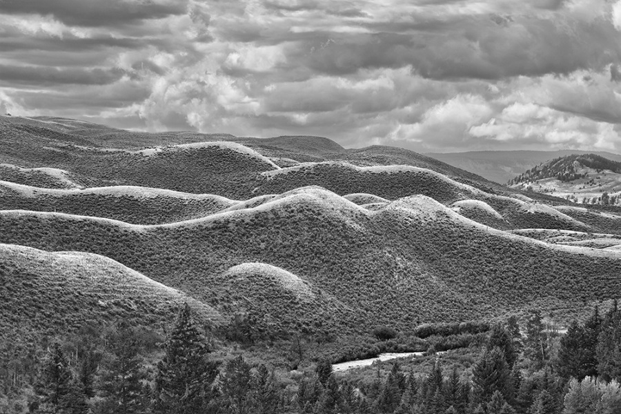 Gerald Hill, Tomorrow's Sand Dunes