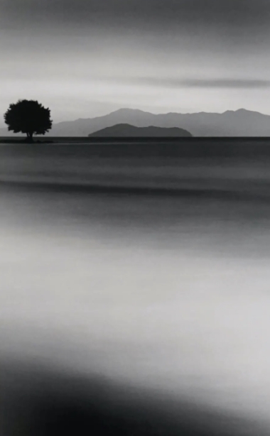 Michael Kenna, Biwa Laek Tree | Afterimage Gallery