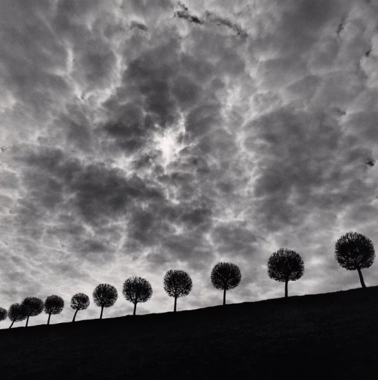 Michael Kenna, Ten and a Half Trees | Afterimage Gallery