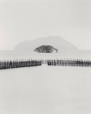 Michael Kenna, Submerged Trees