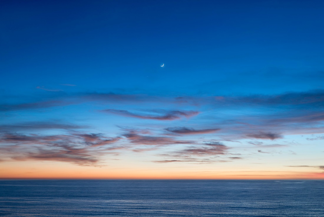 Brian Kosoff, Pacific Moon