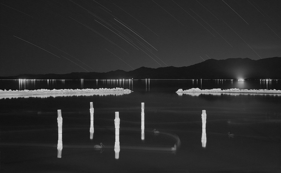 Brian Kosoff, Pelicans and Stars