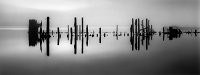 Pier Pilings in Still Water