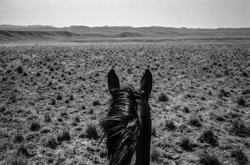 John Langmore, Northern Nevada