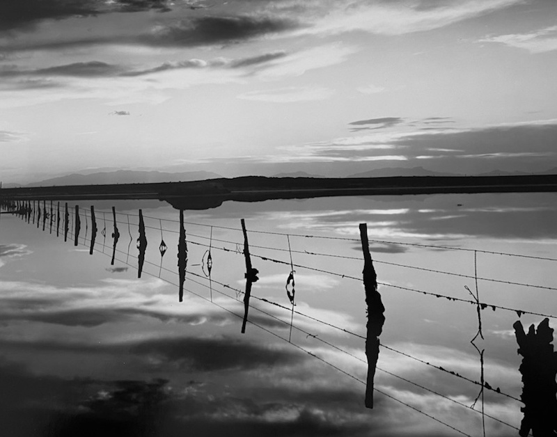 Ron Wohlaurer, Black Fence | Afterimage Gallery