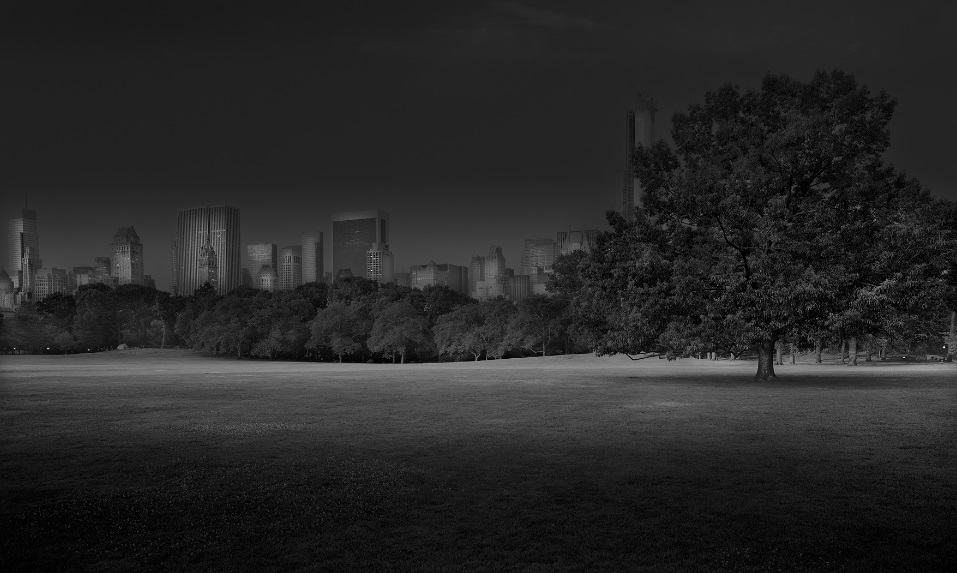 Michael Massaia, Deep in a Dream-Central Park, Sheep Meadow Sunrise