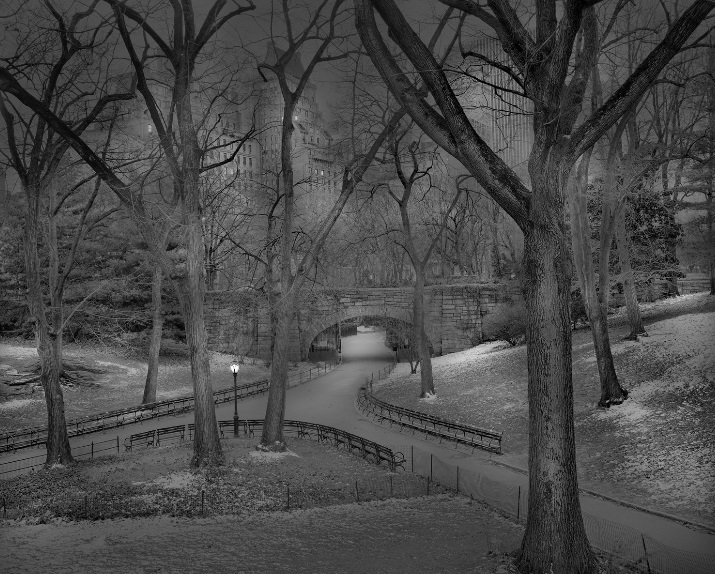 Michael Massaia, Deep in a Dream-Central Park, The Mall