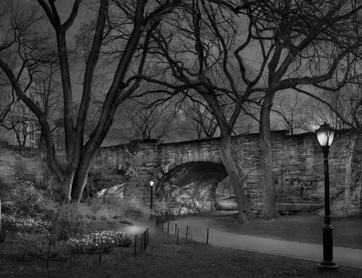 Michael Massaia, Deep in a Dream-Central Park, West Side Sunrise