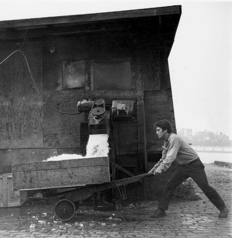 Barbara Mensch, The Ice House