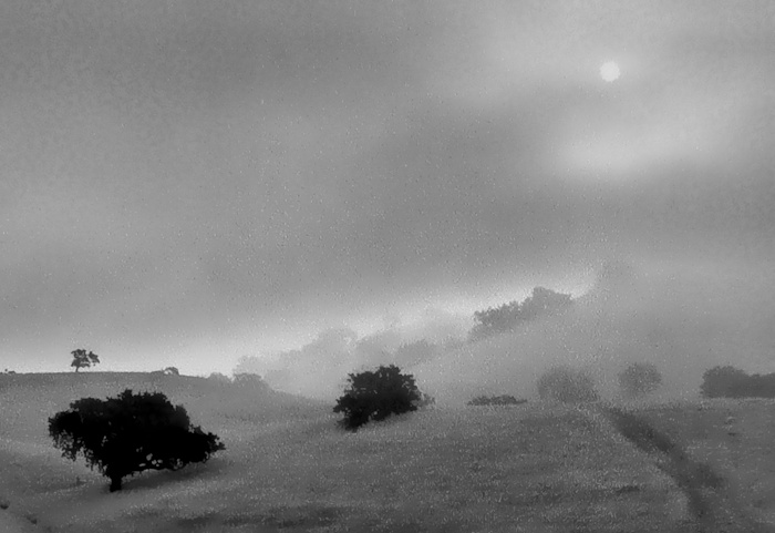 Dan Burkholder, Hill and Morning Fog | Afterimage Gallery