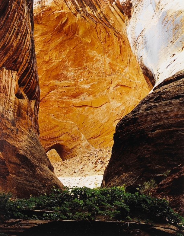 Eliot Porter, Amphitheater, Davis Gulch