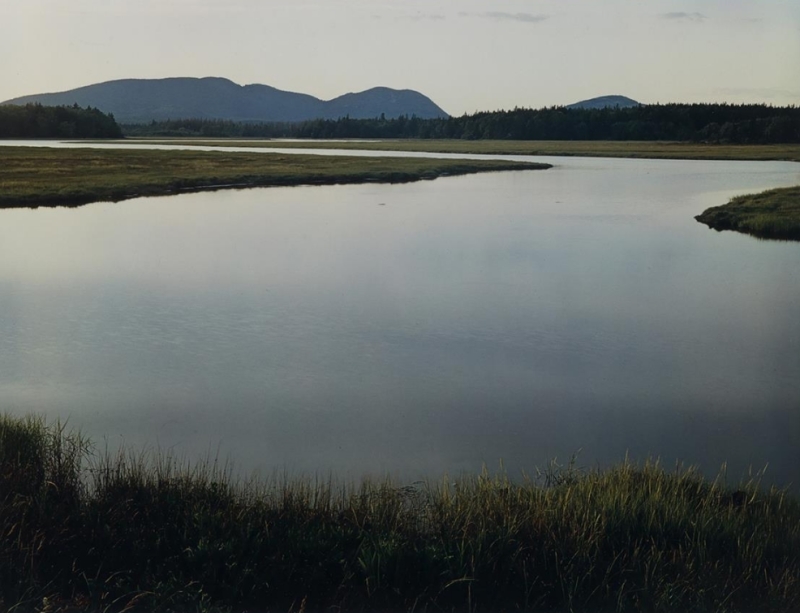 Eliot Porter, Tidal Marsh