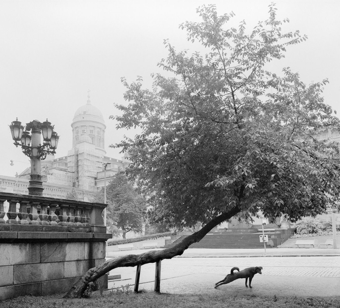 Pennti Sammallahti, Dog Stretching