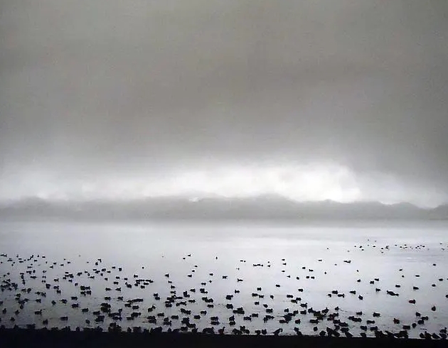 Pennti Sammallahti, Inawashiro Lake