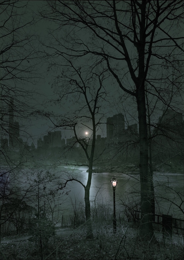 Michael Massaia, #9, from Drop the Sun-Central Park | Afterimage Gallery
