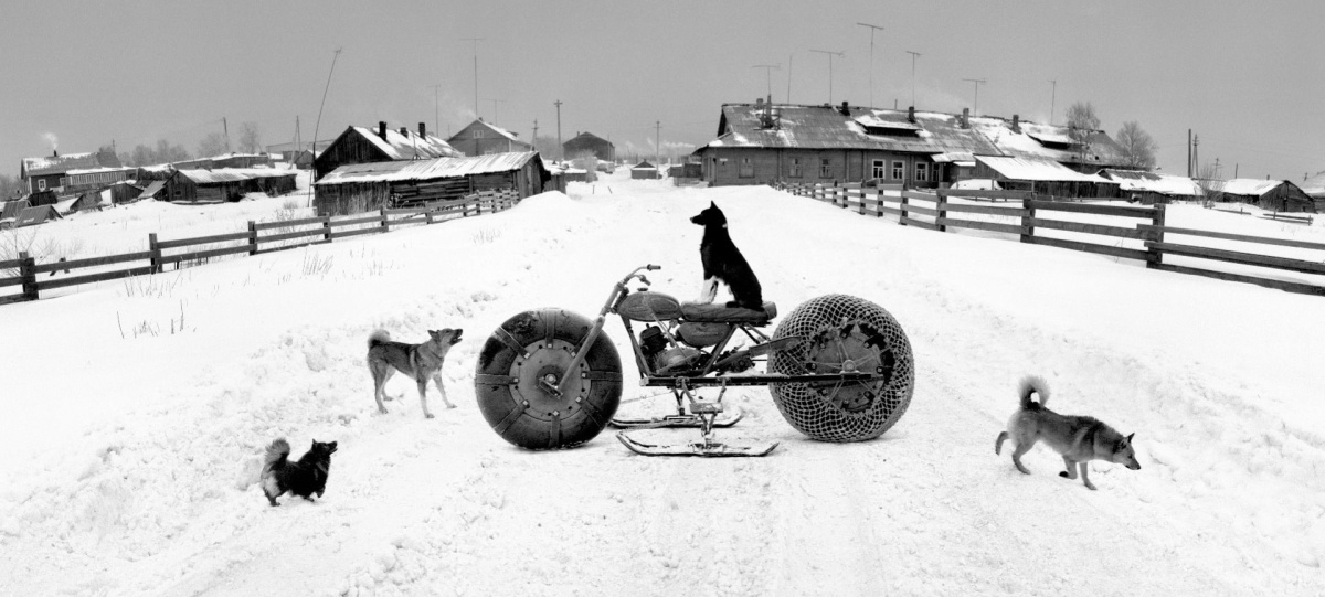 Pentti Sammallahti, Solovki, White Sea | Afterimage Gallery